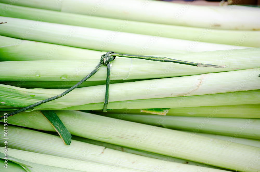 Fototapeta premium Fresh organic leek sold at street market