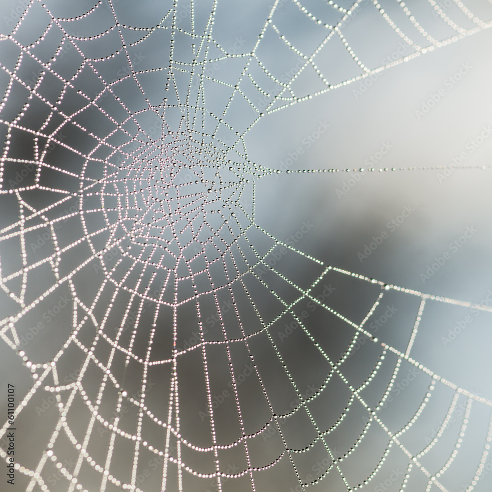 Obraz premium Missing