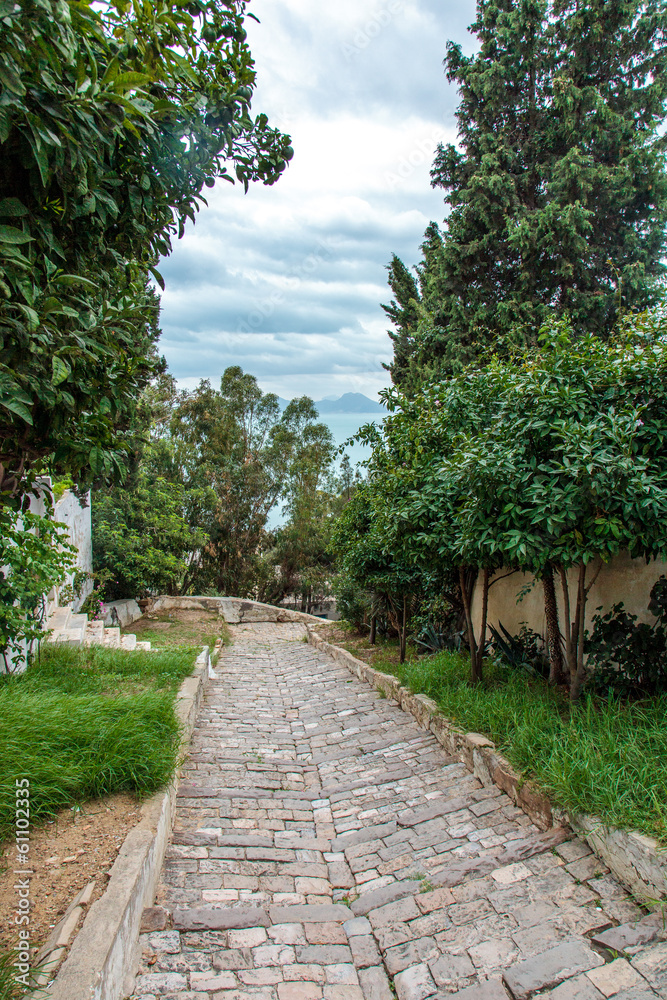 Medina alley