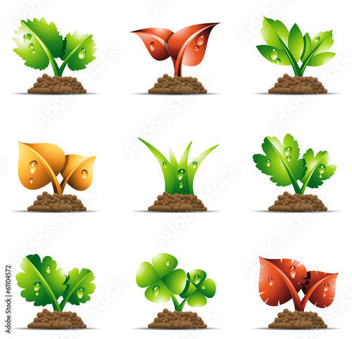 Plants