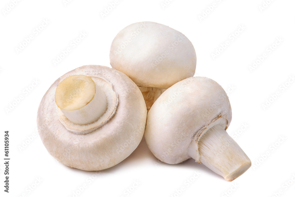 Fresh shampignons isolated on white Fresh shampignons isolated on white