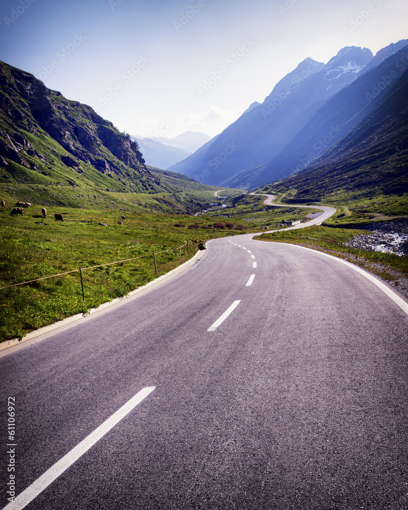 Fototapeta premium country road