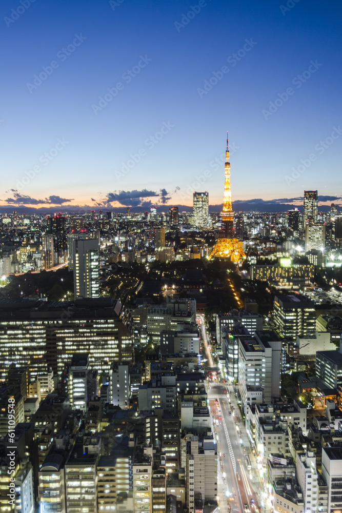Naklejka premium Tokyo tower skyline cityspace sunset view