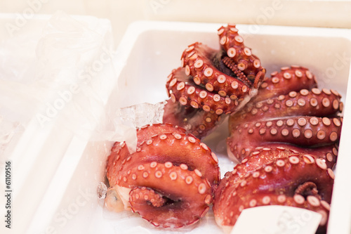 Octopus sell in Tsukiji market Japan