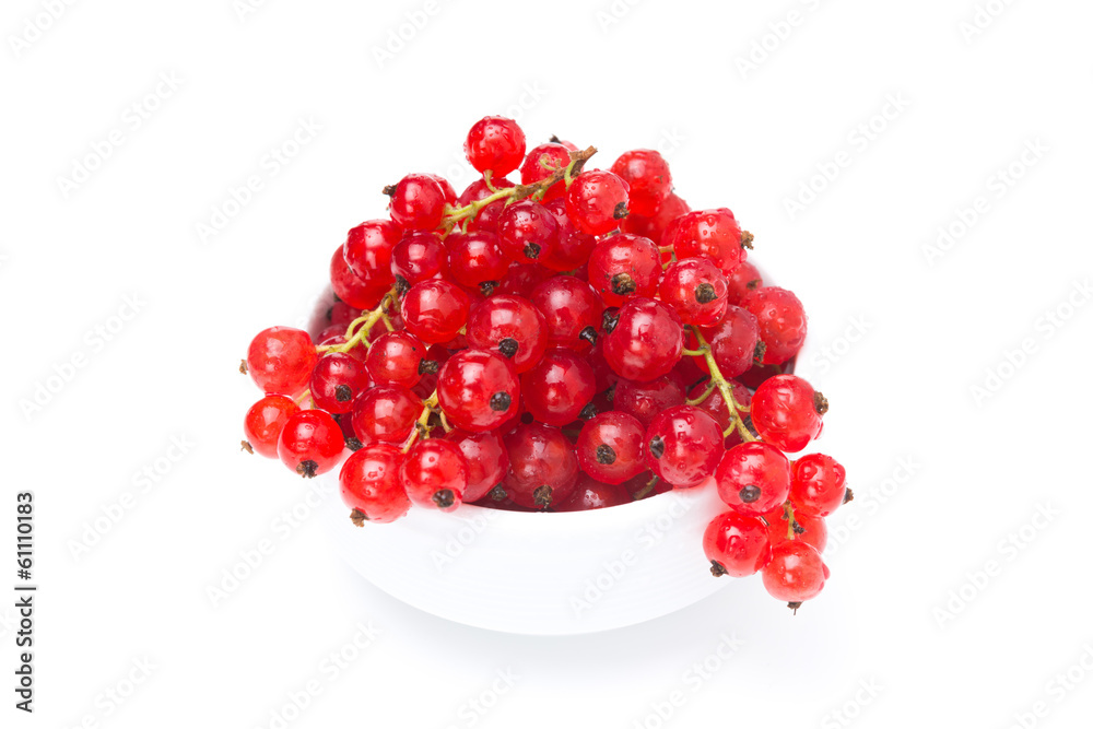 bowl of fresh red currant isolated on white bowl of fresh red currant isolated on white