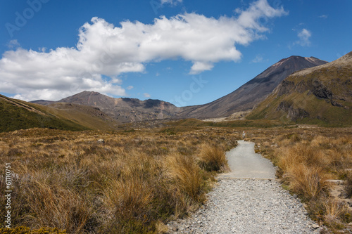 track in Tongariro National Park