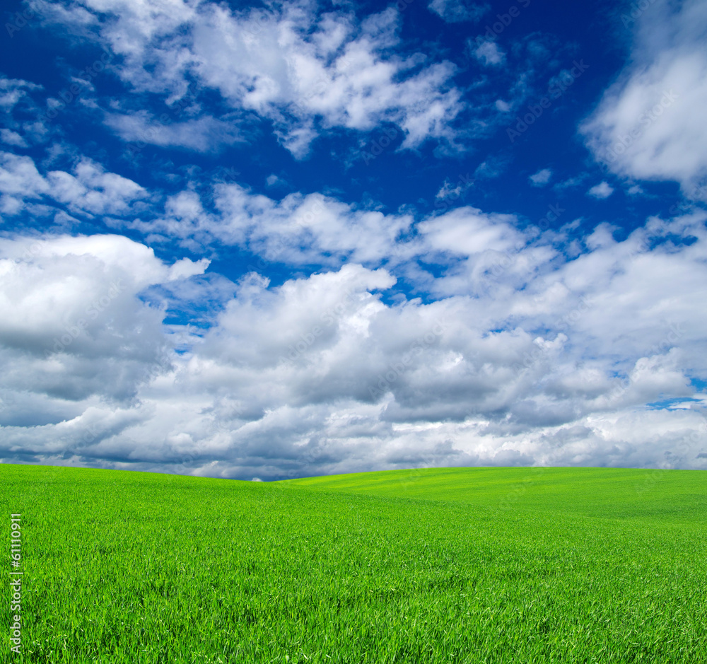 field field