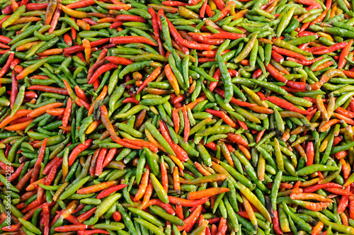 Various chilli Thailand seasoning, Pattern