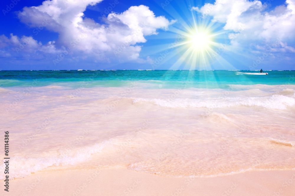 Caribbean Dream beach and sunshine. 