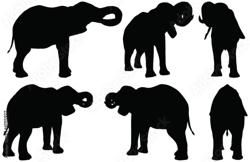 silhouettes of African elephants in drink poses