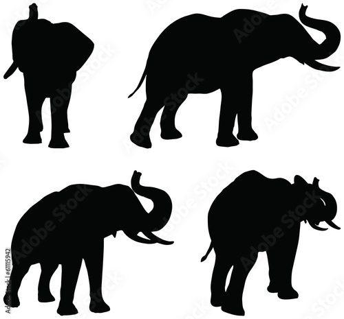 silhouettes of African elephants in trumpet poses