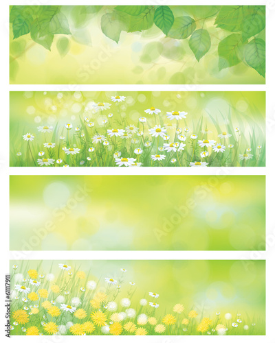 Vector  spring nature banners, birch  tree leaves,  dandelion an