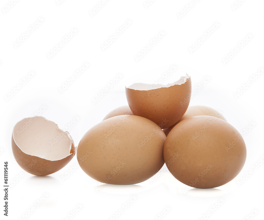 broken eggshell with white copy space for fill some text broken eggshell with white copy space for fill some text