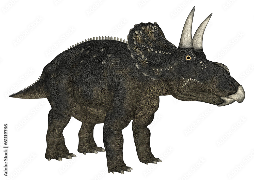 Dinosaur Diceratops