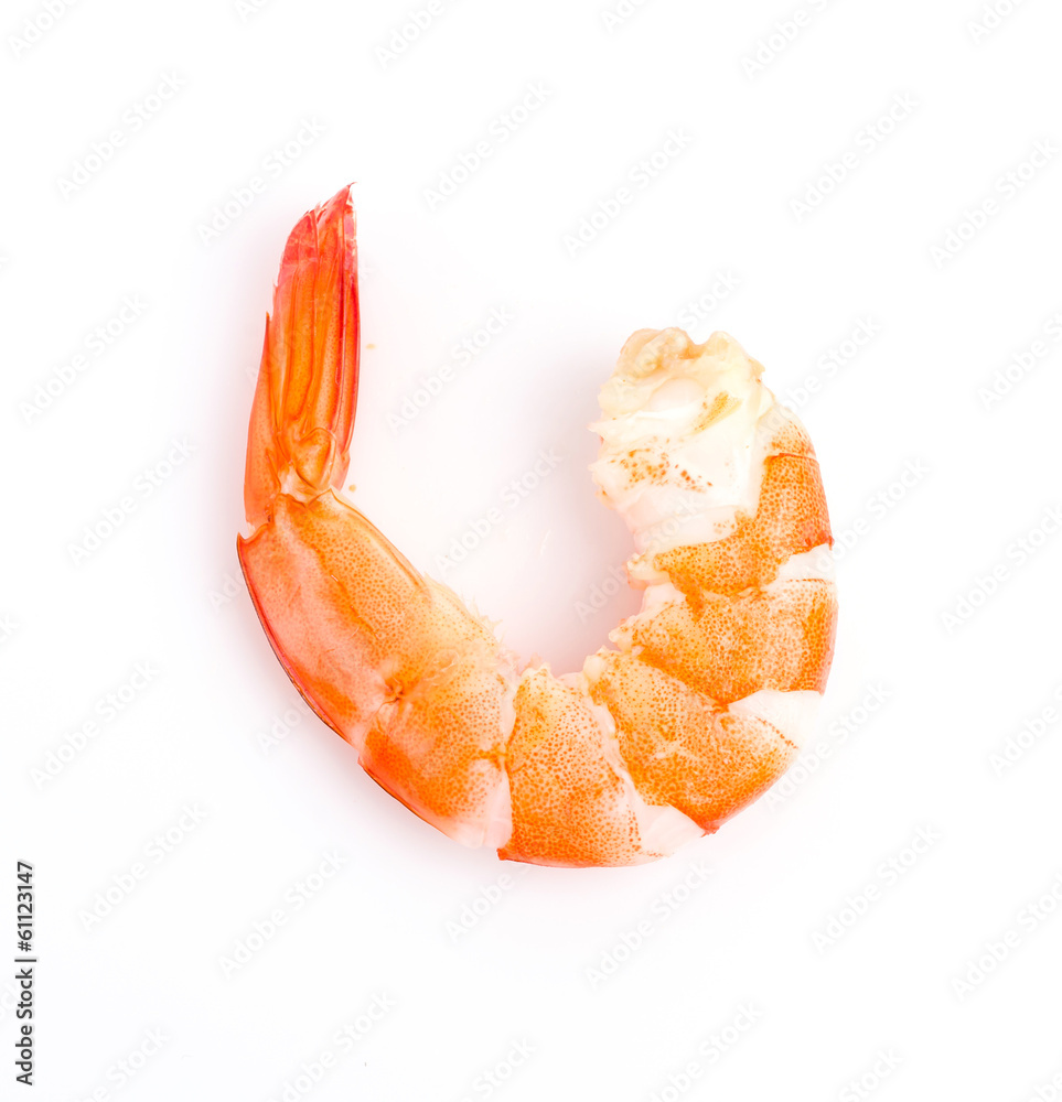 Shrimp