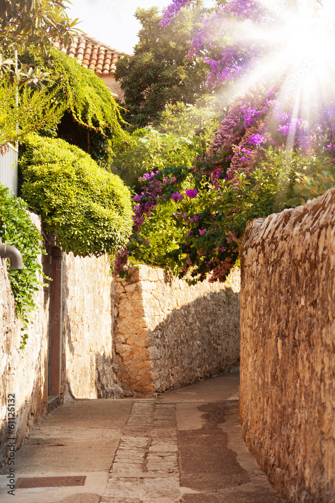 Fototapeta premium Mediterranean street with flowers and trees