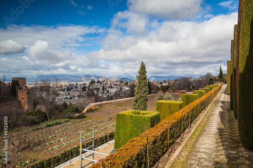 Gardens in Granada in winter