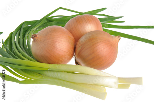 Bulb and green onion isolated on white