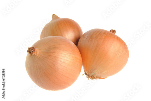 Three bulb onions isolated on white