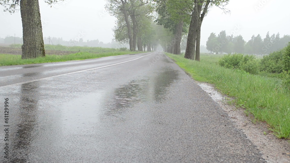 Closeup of water rain drops fall on asphalt road between trees Closeup of water rain drops fall on asphalt road between trees