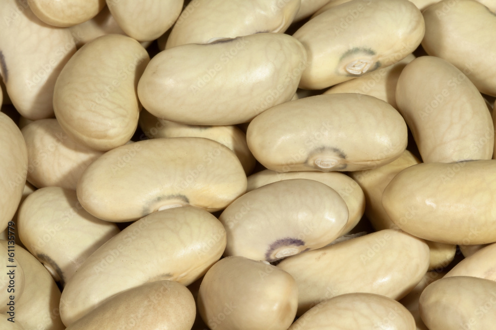 beans macro beans macro