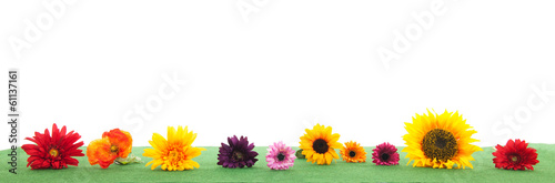 Fotografija Colorful flowers on green grass
