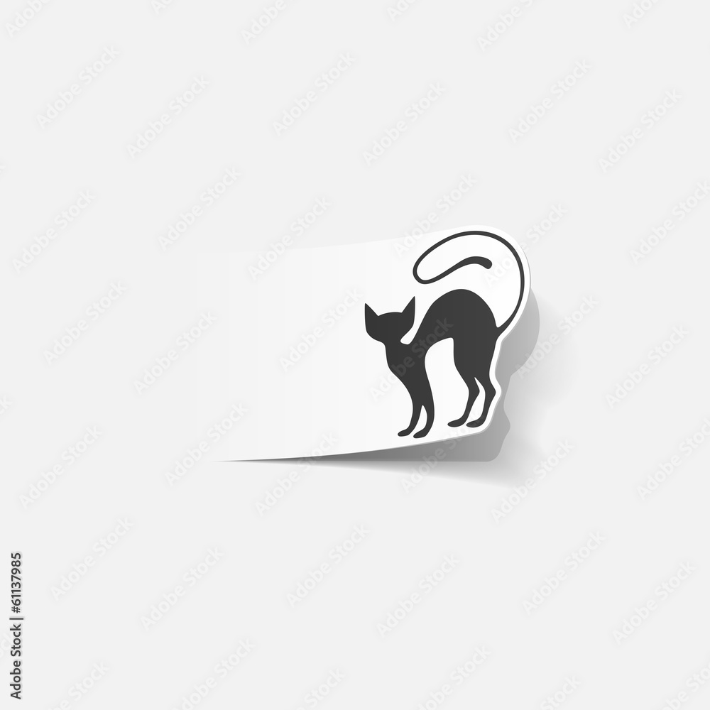 Obraz premium realistic design element: cat