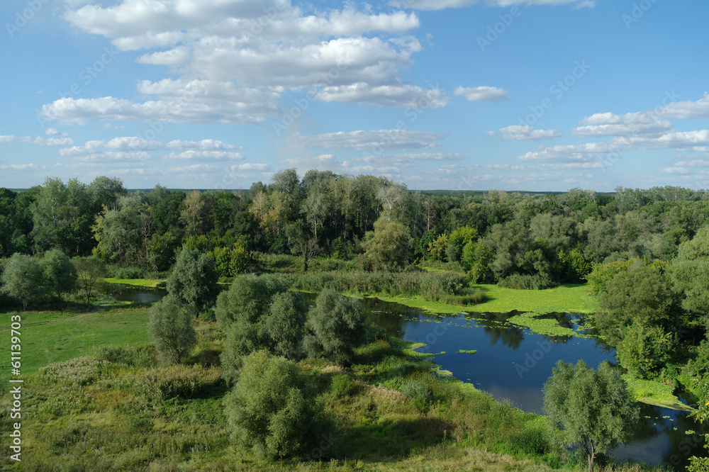 Wonderful landscape with green trees and the river Wonderful landscape with green trees and the river