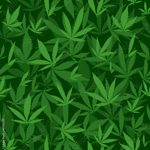 Fototapeta Naklejka Na Ścianę i Meble -  Seamless vector pattern with marijuana leaves