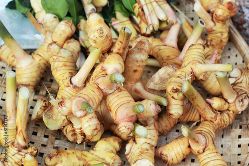 Ginger root in the market