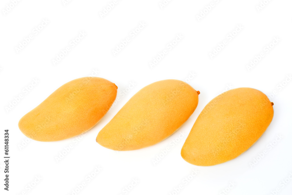 Three ripe golden mangoes