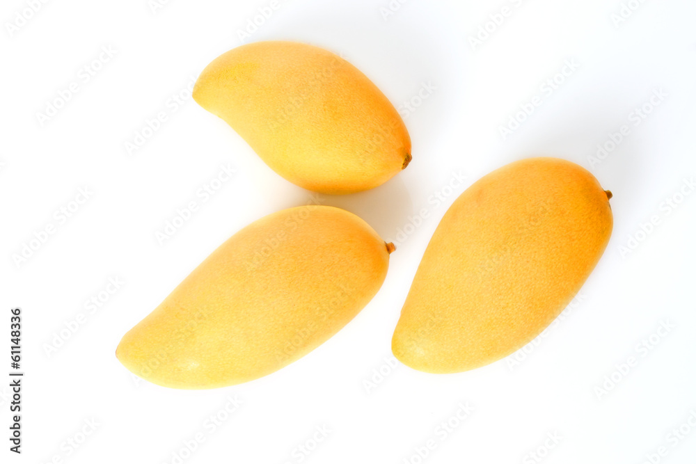 Three ripe golden mangoes