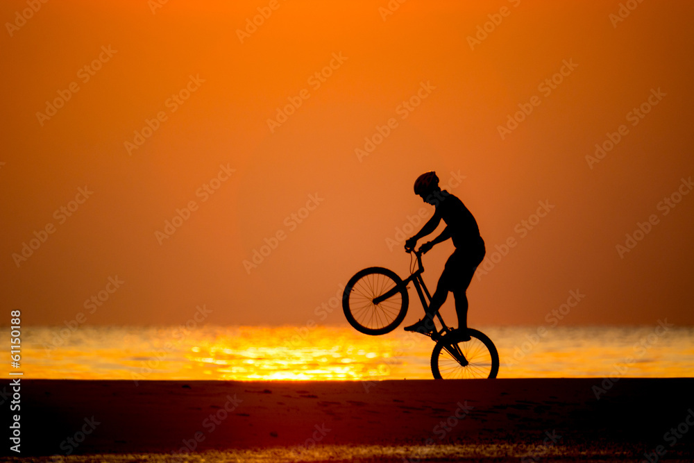 custom made wallpaper toronto digitalbiker