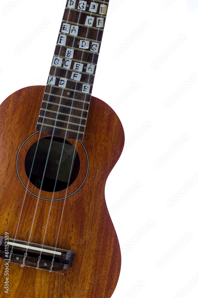 Fototapeta premium Ukulele