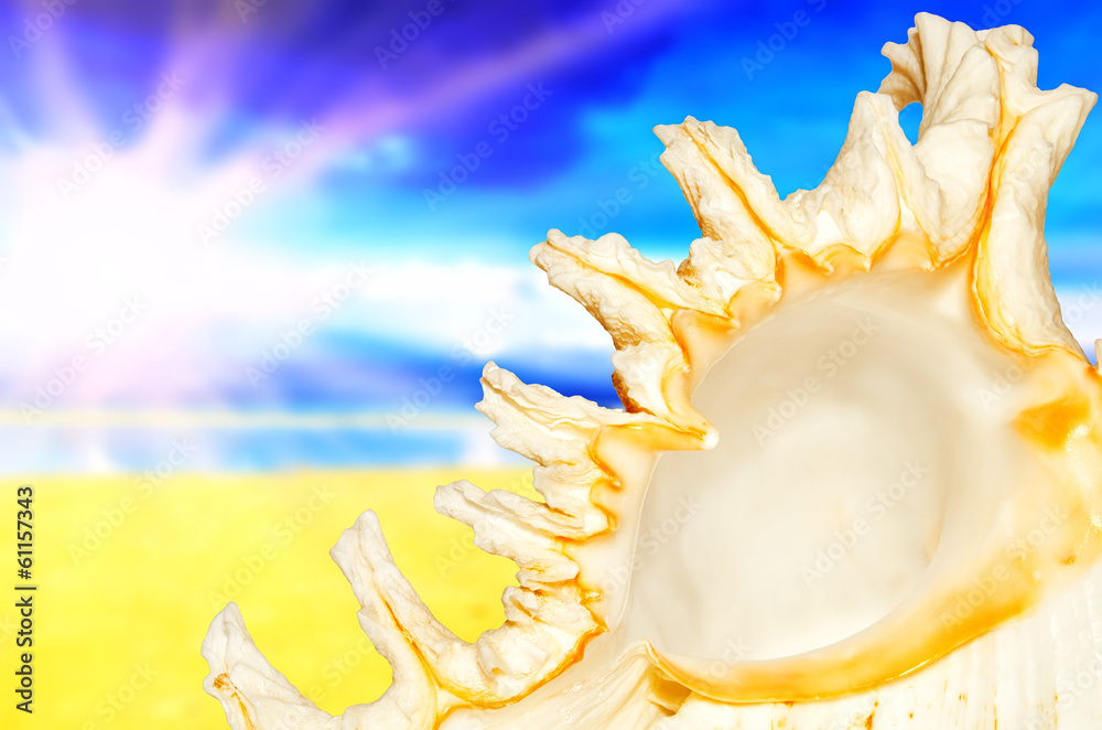 Obraz premium sunny beach