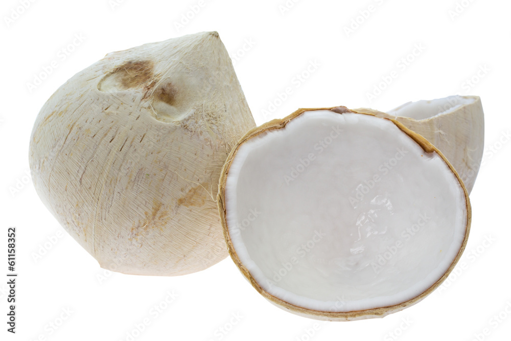 Coconut
