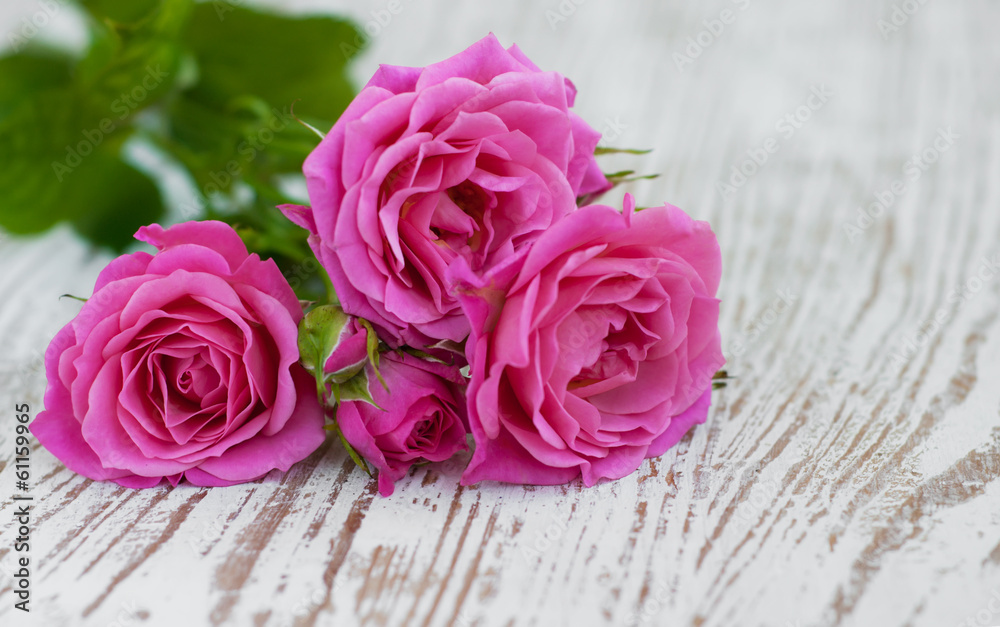 Pink roses Pink roses