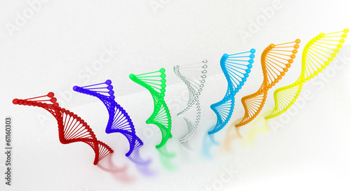 Chimica, genoma umano, dna, rna, elicoidale photo