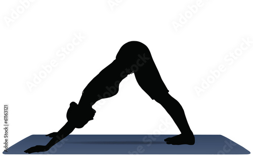 Yoga positions in Downward-Facing Dog pose