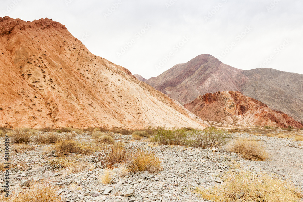 Dry vegetation Dry vegetation
