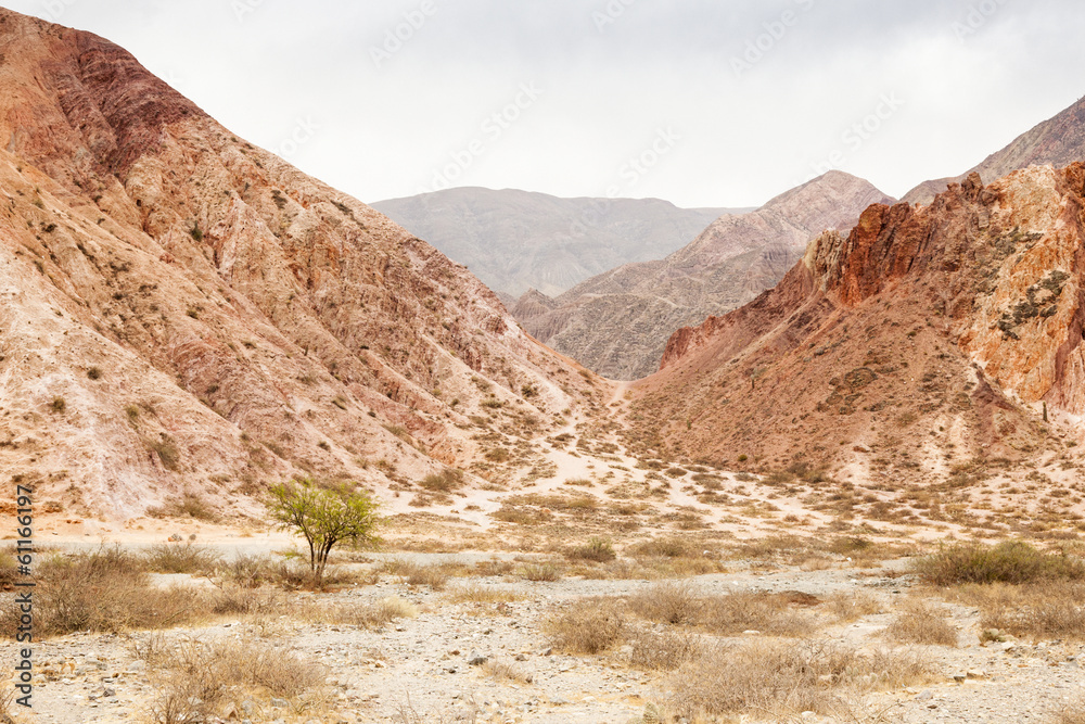 Fototapeta premium Desert scenic