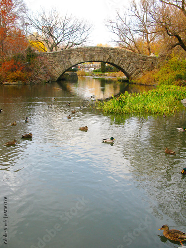 Central Park: Gapstow bridge, and its beautiful colors in Autumn © icon72