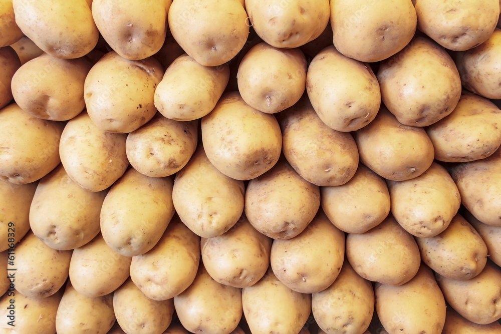 Fresh organic young potatoes sold on market Fresh organic young potatoes sold on market