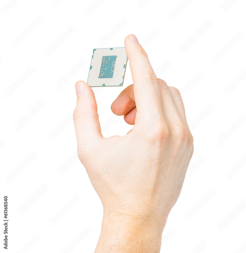 Computer's processor in hand isolated on a white background
