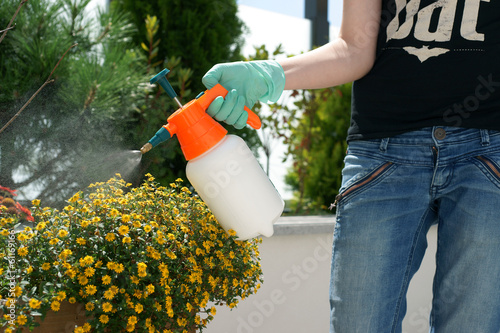 Plakat w ramie Spraying plants on a terrace