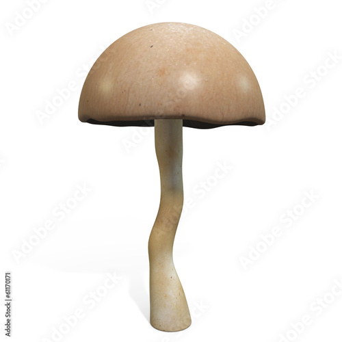 3d illustration of a mushroom photo