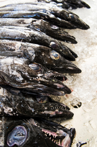 Black Scabbardfish, Madeira Island