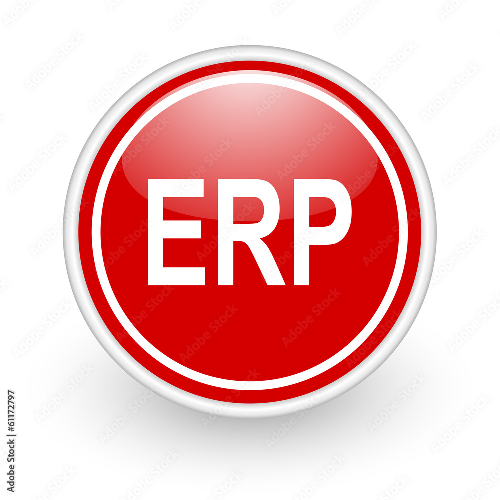 erp icon