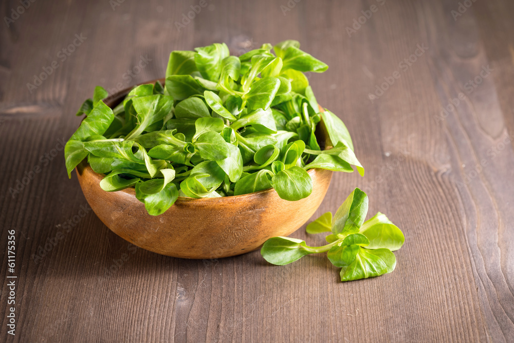 Field salad Field salad