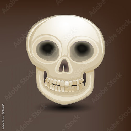 Human skull in front view